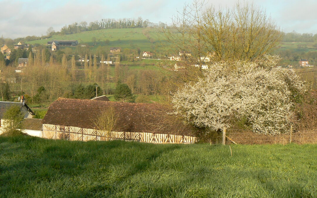 16-18 mai, Marche de printemps du pays d’Auge au pays de Falaise